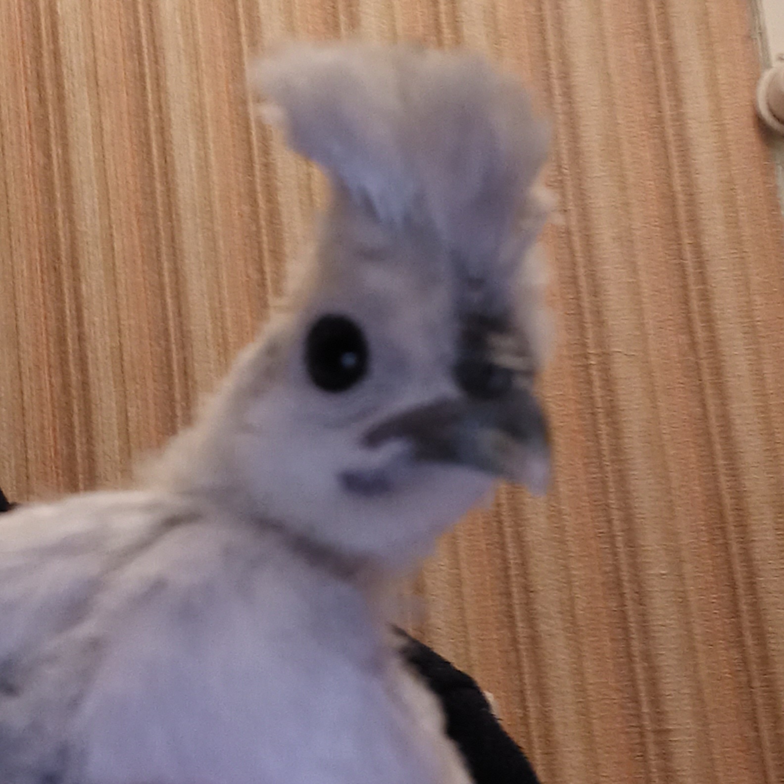 Photo prise le 2023-03-01